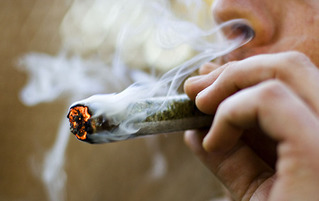 Medical Pot Legalized, Medicare Rx Drop for Many Drugs